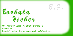 borbala hieber business card